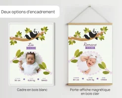 Affiche naissance personnalisée - Panda