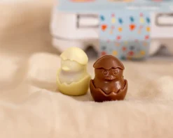 Boîte d'oeufs personnalisable et ses Poussins au chocolat noir, lait et blanc