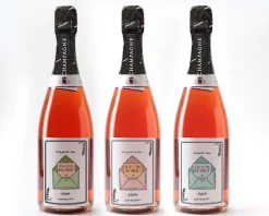 Bouteille de champagne rosé personnalisée - Veux-tu être (...) ?