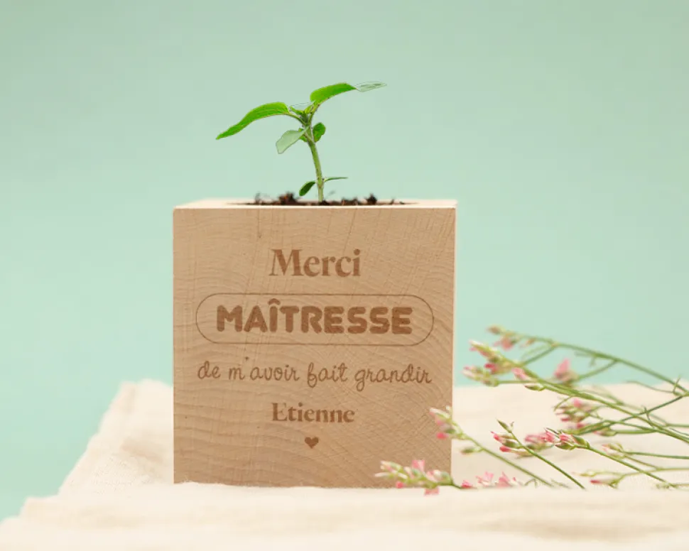 Ecocube personnalisé - L'Ecole est Finie