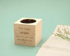 Ecocube personnalisé - L'Ecole est Finie