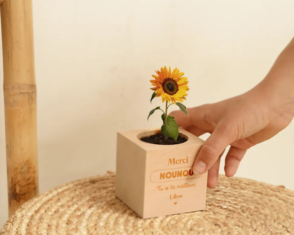 Ecocube personnalisé - L'Ecole est Finie