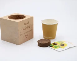 Ecocube personnalisé - L'Ecole est Finie