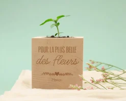 Ecocube personnalisé - Maman