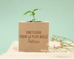 Ecocube personnalisé - Message