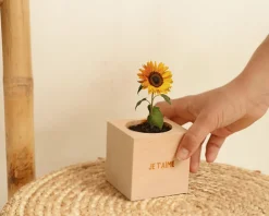 Ecocube personnalisé - Message