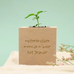 Ecocube personnalisé - Mots d'enfants pour maitresse