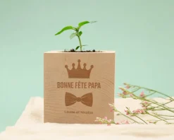 Ecocube personnalisé - Papa Royal