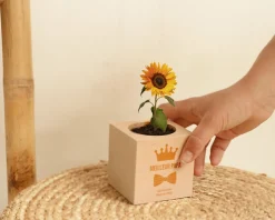 Ecocube personnalisé - Papa Royal
