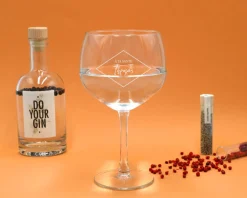 Kit de fabrication de gin avec un verre personnalisé