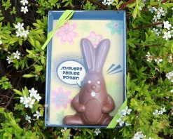 Lapin de Pâques en chocolat personnalisable