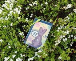 Lapin de Pâques en chocolat personnalisable