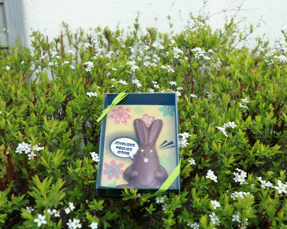 Lapin de Pâques en chocolat personnalisable