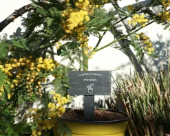 Mini-ardoise pour plante personnalisable - Potager
