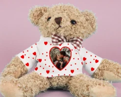 Ourson Coeur Photo