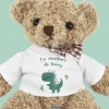 Ourson en peluche personnalisable - Dinosaure