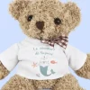 Ourson en peluche personnalisable - Licorne
