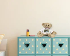 Ourson Photo