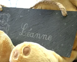Plaque de porte enfant - Teddy Bear Câlin