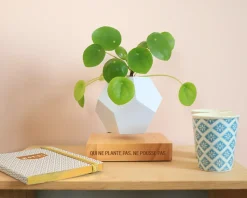 Pot de fleur en lévitation personnalisable