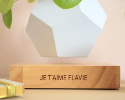 Pot de fleur en lévitation personnalisable