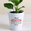 Pot de fleurs personnalisé - Merci Maîtresse