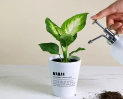Pot de fleurs personnalisé - Définition Maman