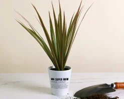 Pot de fleurs personnalisé - Définition Maman