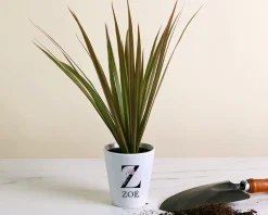 Pot de fleurs personnalisé - Monogramme