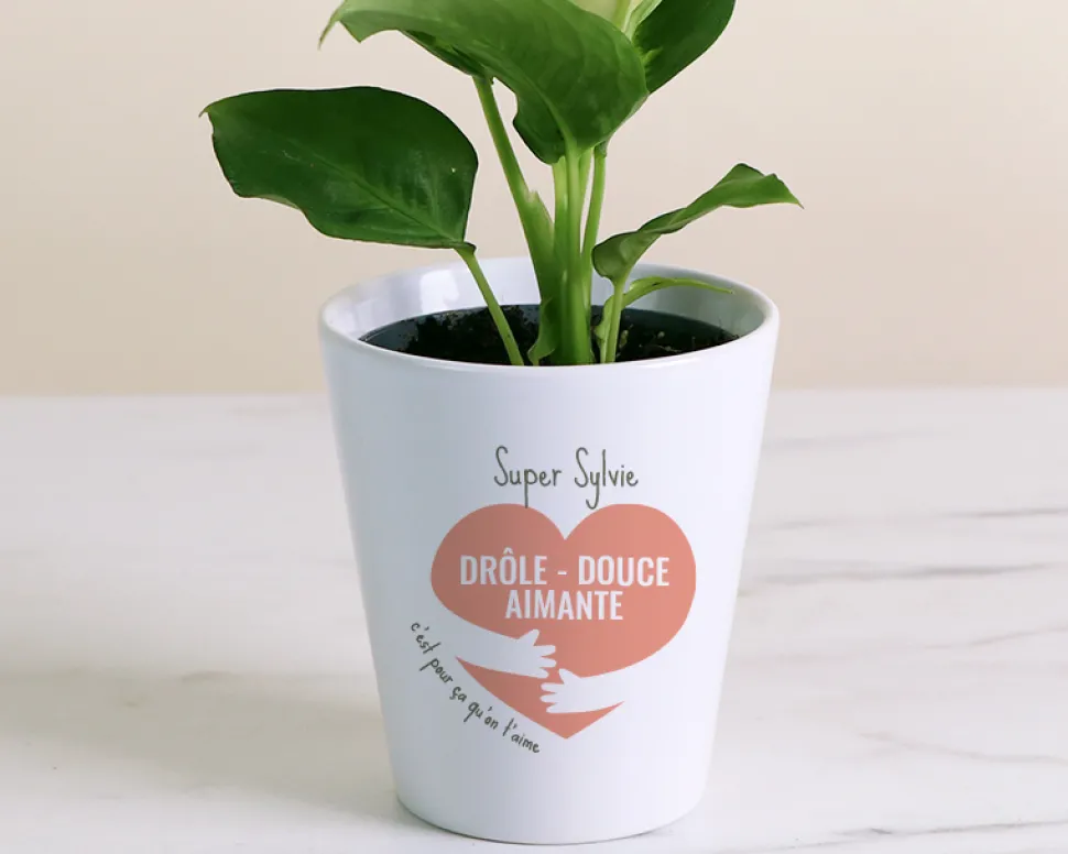 Pot de fleurs personnalisable - C'est pour ça qu'on t'aime