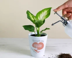 Pot de fleurs personnalisable - C'est pour ça qu'on t'aime