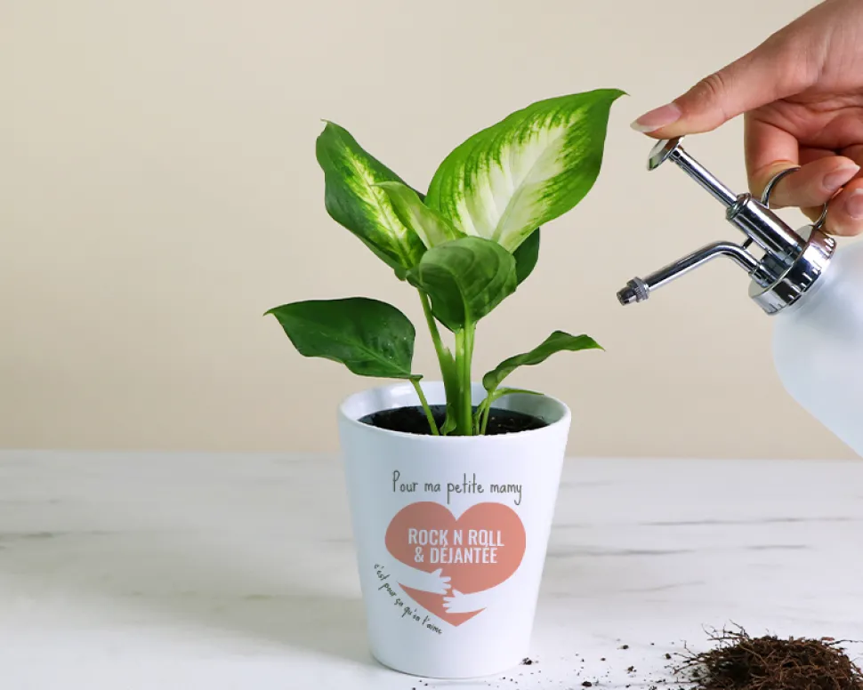 Pot de fleurs personnalisable - C'est pour ça qu'on t'aime
