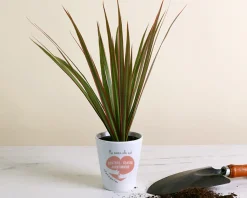 Pot de fleurs personnalisable - C'est pour ça qu'on t'aime
