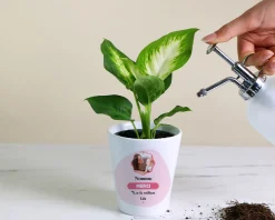 Pot de fleurs personnalisé - Nounou