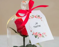 Rose éternelle sous cloche lumineuse avec carte personnalisée