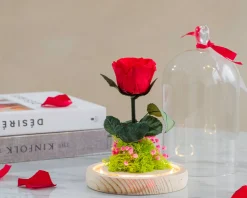 Rose éternelle sous cloche lumineuse avec carte personnalisée