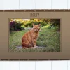Tapis pour chat - Photo