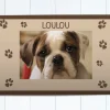 Tapis pour chien - Photo
