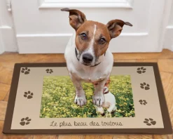 Tapis pour chien - Photo